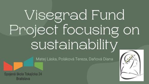 Project-focusing-on-sustainability-Visegrad-Fund-1 Page 1