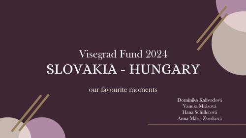 Visegrad-Fund-Hungary-Kalivodova-Mrazova-Schillerova-Zverkova Page 01
